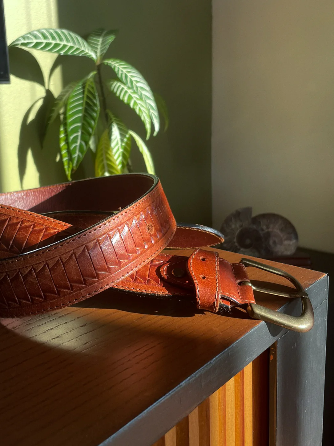 Indiana Belt